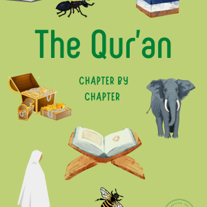 the Quran Chapter by chapter